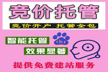 百度竞价包年推广策略——某行业巨头的成功经验